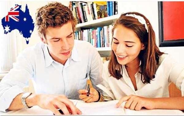 Assignment Help Winnipeg can assist you in different ways
