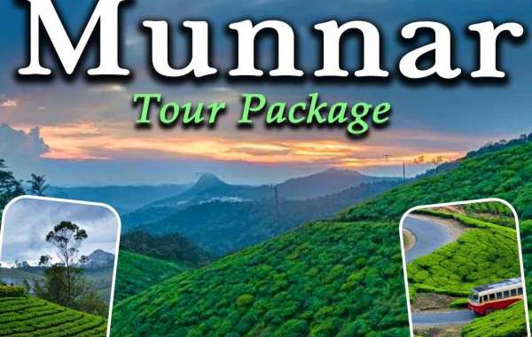 Munnar Tour Packages: Explore the Serene Beauty of the Western Ghats