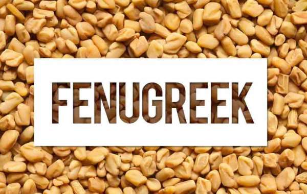 What is fenugreek good for?