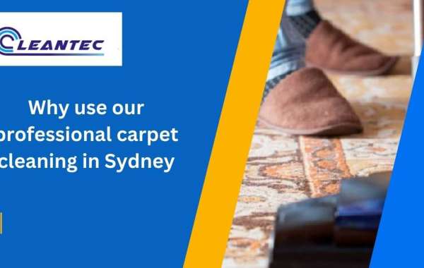 Why use our professional carpet cleaning in Sydney