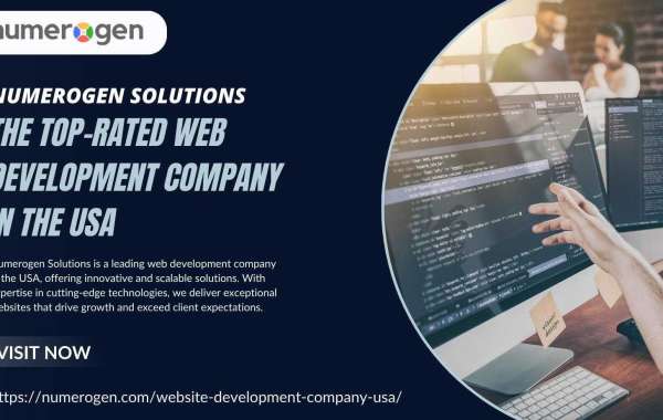 Hire the Web & Custom Software Development Company In USA