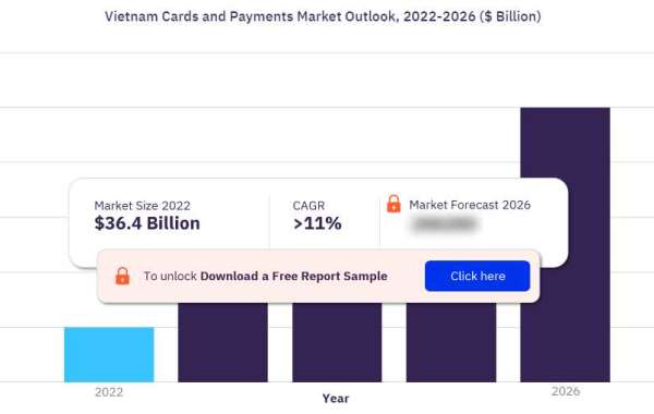 Vietnam Cards and Payments Market Outlook, 2023-2026