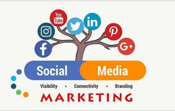 Magica Labs is a social media marketing agency Bareilly