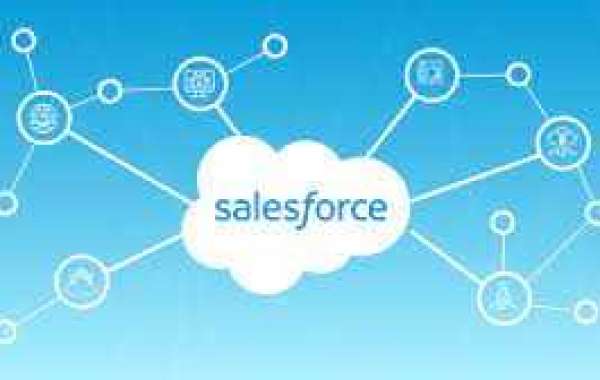 Enhancing User Experience: Unleashing the Potential of Salesforce Experience Cloud Consultant