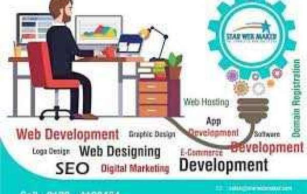 Website Design & Development Company in USA: Star Web Maker