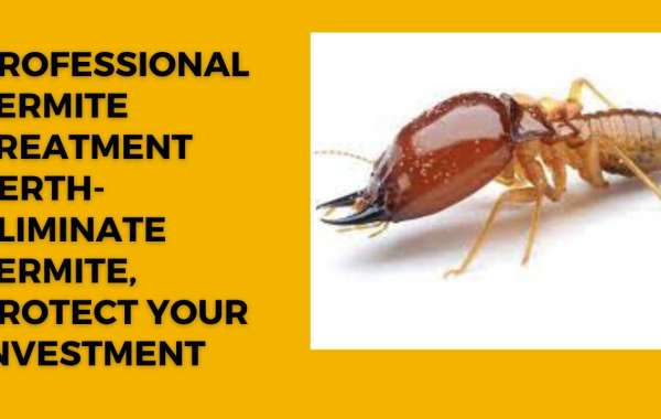 Professional Termite Treatment Perth-Eliminate Termite, Protect your Investment
