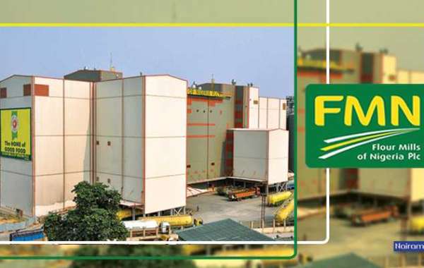 Flour Mills of Nigeria company overview
