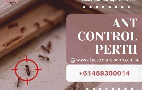 We provide effective solutions for eliminating and preventing pests from your property at Pest Control Perth