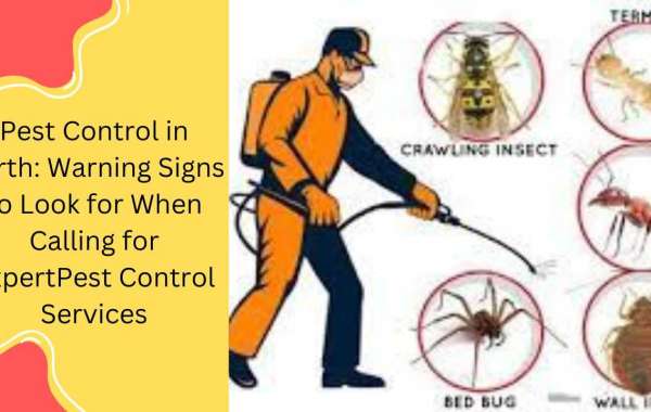 Pest Control in Perth: Warning Signs to Look for When Calling for ExpertPest Control Services