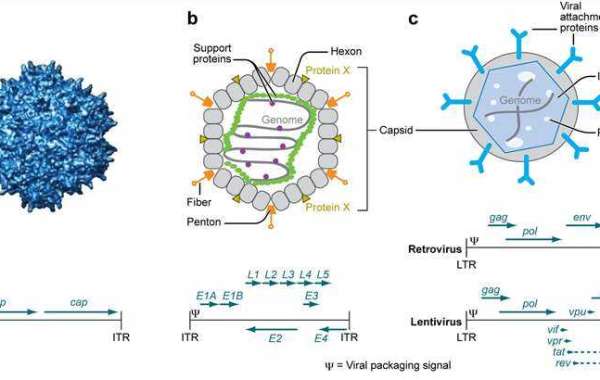 Viral Vector Characterization: Why and How