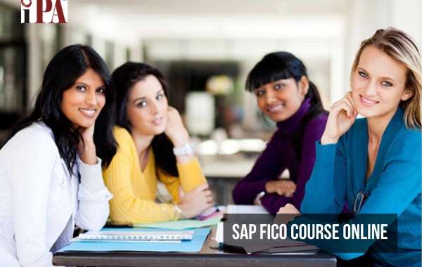 SAP FICO course - The Institute of Professional Accountants