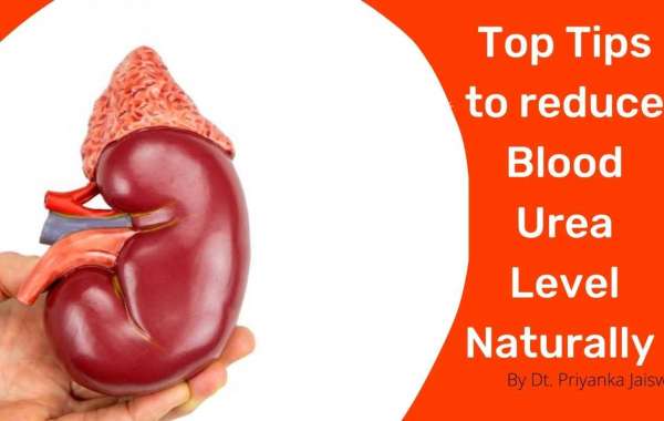 How to Quit Your Day Job and Focus on How to Reduce Blood Urea by Diet