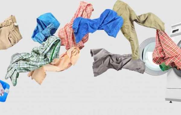 Best Laundry Service in India