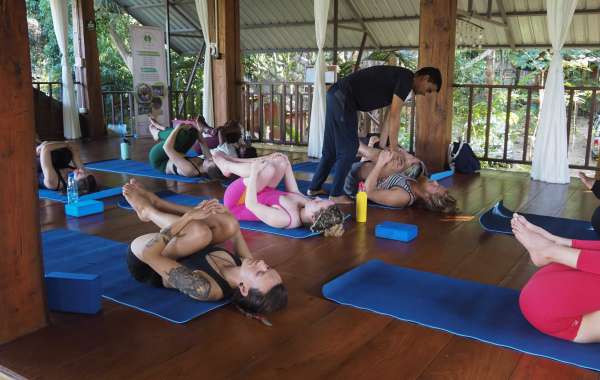 The Benefits of Completing a 500 Hour Yoga Teacher Training in Thailand