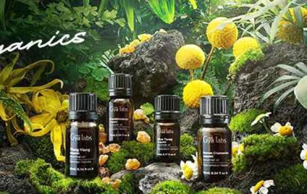 Finding Organic Essential Oils Near Me: The Gyalabs Experience