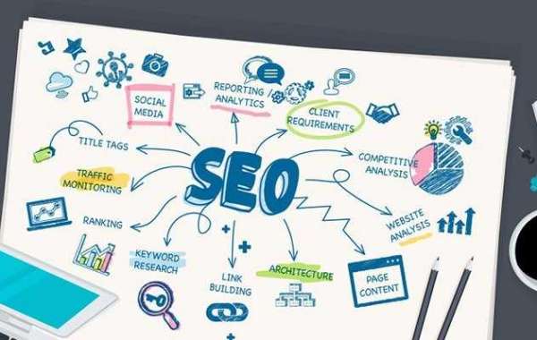 Unlocking the Power of SEO Service Provider in USA