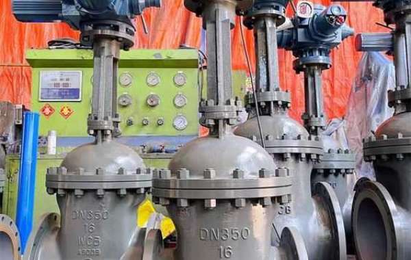 Electric actuated gate valve in Iraq