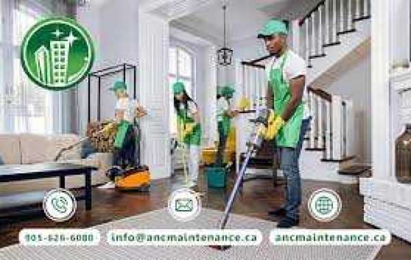 The Importance of Professional Cleaning Services