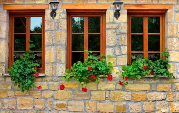 The Timeless Appeal of Wooden Windows