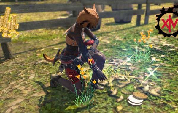 Buy Ffxiv Gil – Have You Checked Out The Vital Aspects?