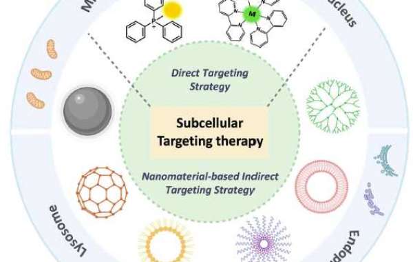 Oncology Advances: Current Trends and Therapeutic Strategies