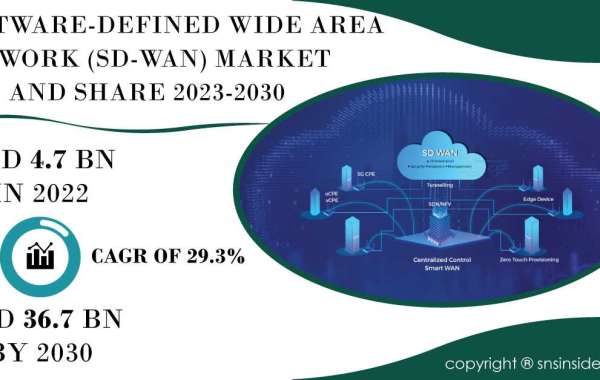 Software Defined Wide Area Network Market Insights and Trends | Exploring Industry Dynamics