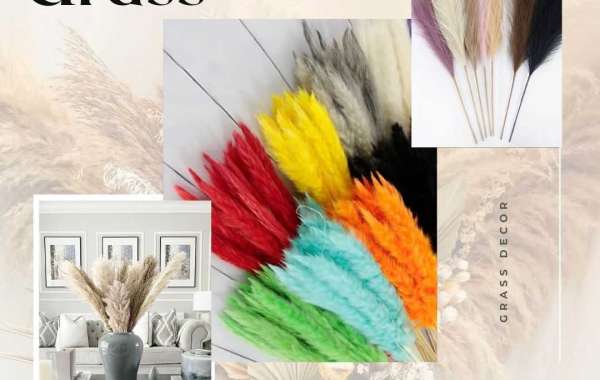 Pampas Grass Get The Perfect Colors Aesthetic for Your Home