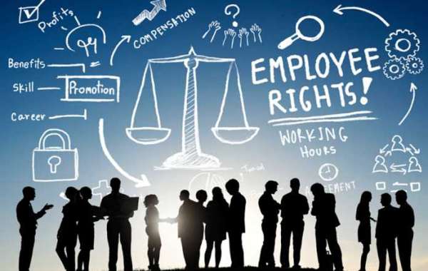 Ensuring Workplace Compliance and Fairness