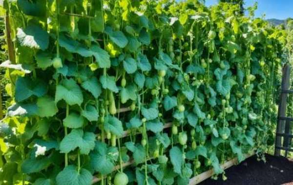 Creating a Vertical Garden That Suits Your Lifestyle